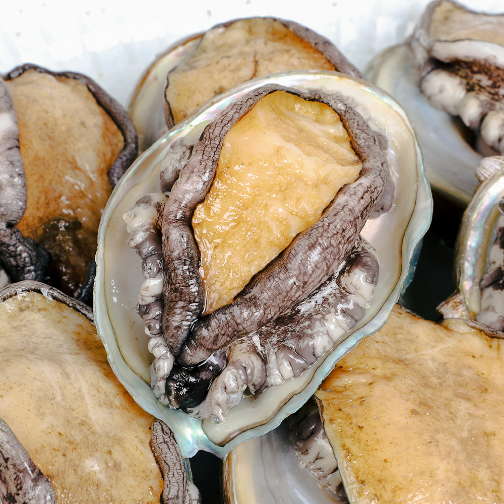 [선물세트] 완도 전복 - 국내산 완도 특대전복 선물세트 1kg (7-8미)