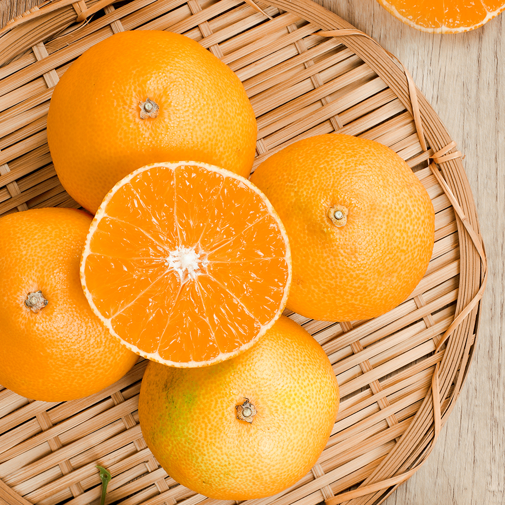 제주 가정용 황금향 - 가정용 황금향 2kg (7-15과)