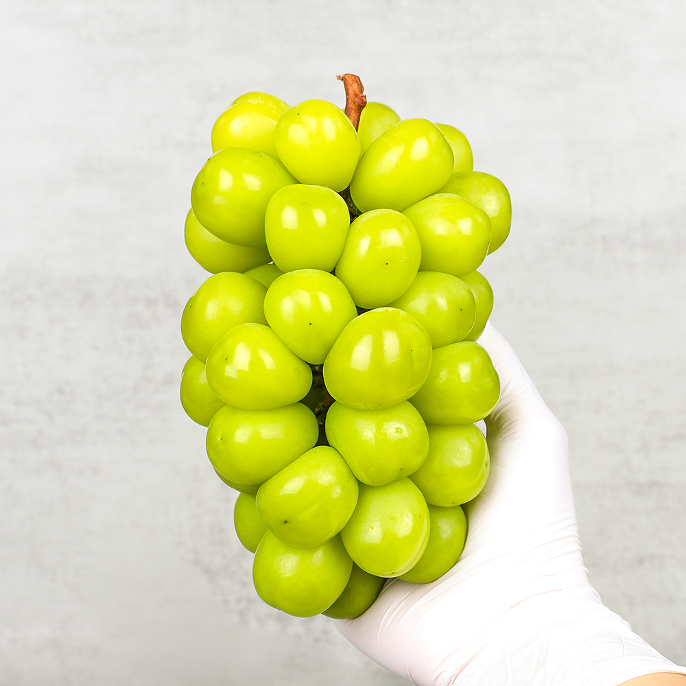 실속 샤인머스캣 - 실속 샤인머스켓 1kg (2수)