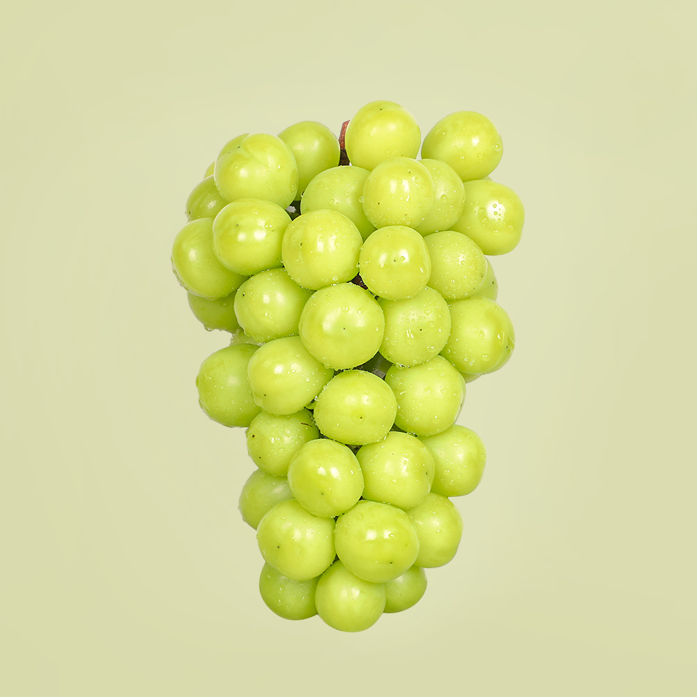 고당도 샤인머스캣 - 실속 샤인머스캣 1kg (2~3송이)