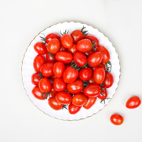 GAP 대추방울토마토 로얄과 - 대추방울토마토 2kg 로얄과