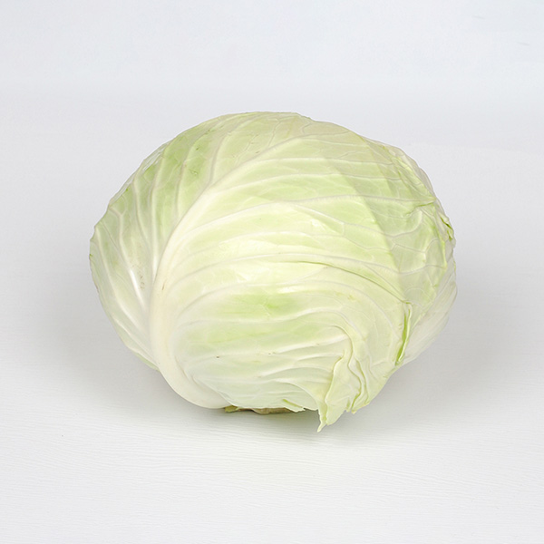 속 꽉찬 양배추&적양배추 - 적양배추 2통 (개당 1kg 내외)