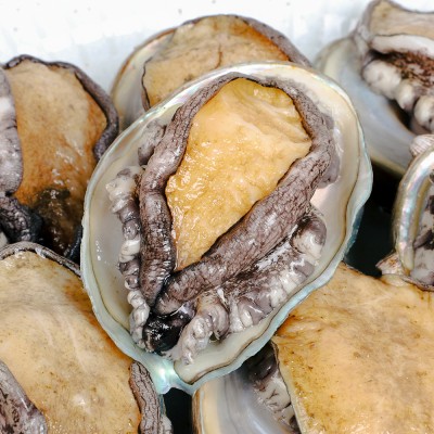 [선물세트] 완도 전복 - 국내산 완도 특대전복 선물세트 1kg (7-8미)