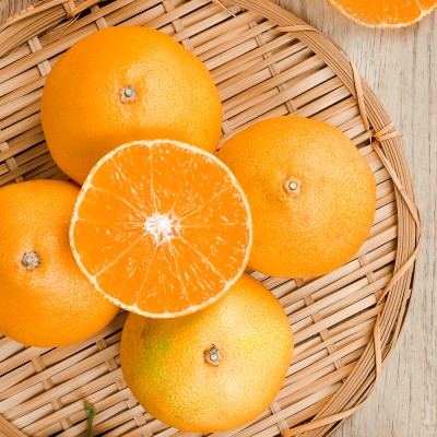 제주 가정용 황금향 - 가정용 황금향 1kg (3-7과)