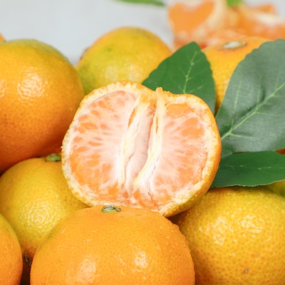 제주 가정용 하우스 감귤 - 가정용 하우스 감귤 5kg (소과)