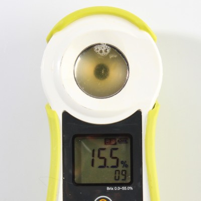 블랙라벨 고당도 오렌지 - 블랙라벨 오렌지(72과) 대과 20입