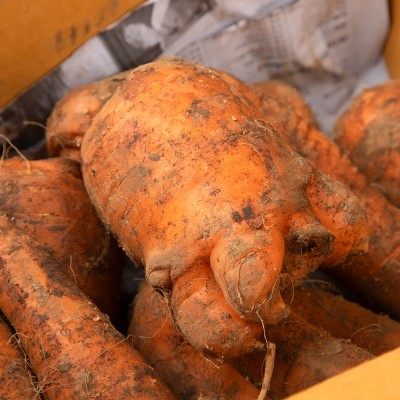 국내산 흙당근 - 국내산 흙당근 2kg 중