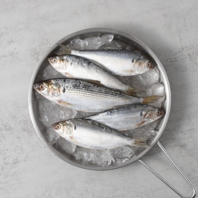 자연산 가을 활전어세꼬시순살 - 활전어 500g (5-9미) x2